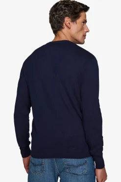 Blue V-neck sweater