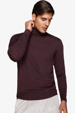 Burgundy basic turtleneck
